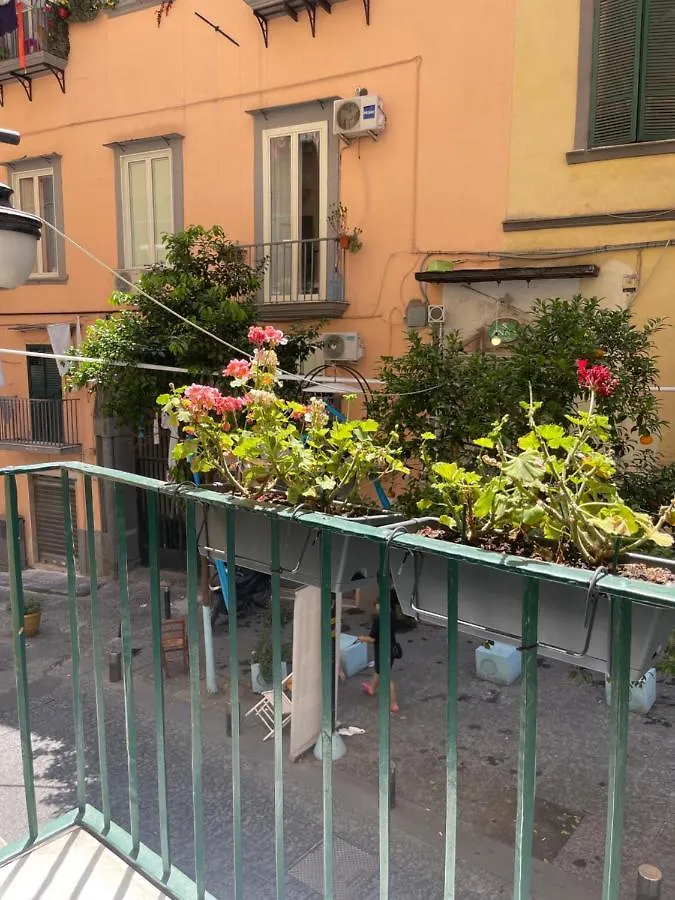 Caterina 70 Apartment Naples Italy